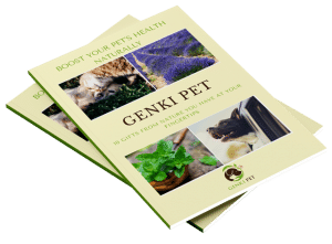Genki-Pet-Brochure_Mockup