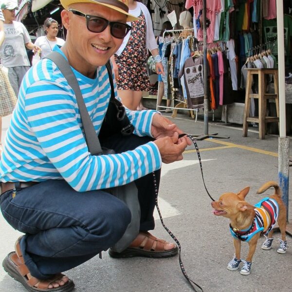 Contact us Genki Pet Australian Owned & Made Man And Chihuahua Jatajuk