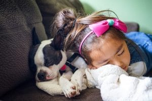 cute dog and girl relaxing asleep calm and peaceful on couch