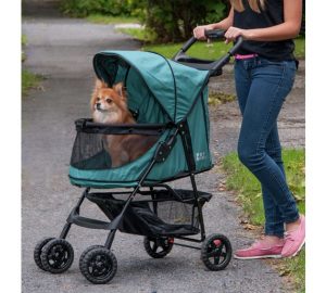genki pet healthier happier pets and their people dog in pram pushed by woman